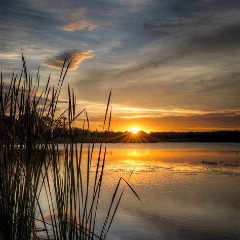 Sunset at the Lake Photographic Art