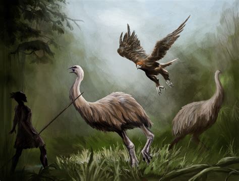 ArtStation - Haast’s Eagle and Giant Moa