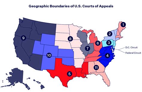 The U.S. Court System, Explained - Democracy Docket