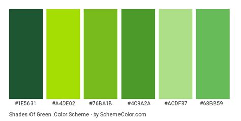 Shades of Green Color Scheme