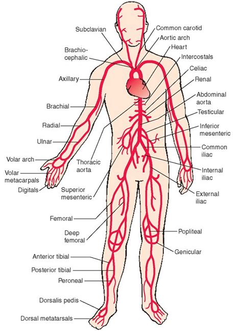 Pin on Health and Longevity