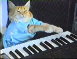 Funny Cat Commercial Playing Piano - Funny PNG