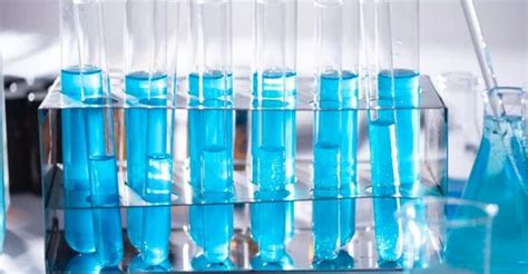 Looking for Biotechnology Jobs in Bangalore? Know A to Z of Biotech Jobs