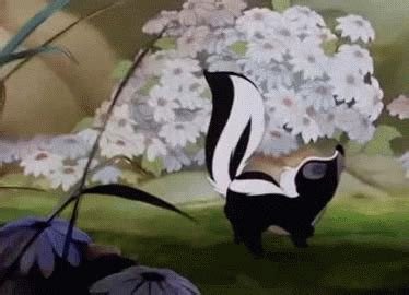 Classic Film Skunk GIF - Find & Share on GIPHY