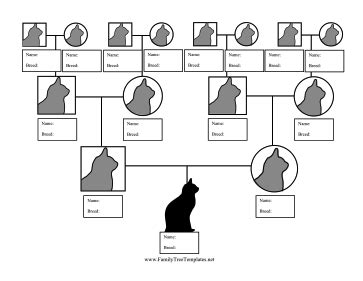 Track feline ancestors and breeds with this printable cat pedigree ...