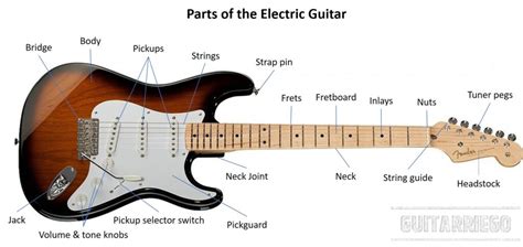 Parts Of An Electric Guitar Diagram