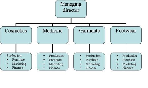 Business Studies for Class XII: Types of organizational structure ...