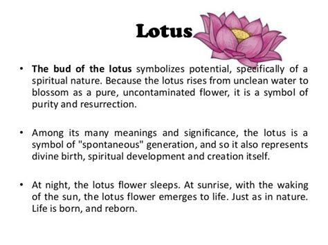 Spiritual Symbols - Google Zoeken Lotus Flower Meaning Lotus Flower ...