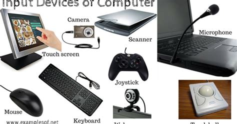 10 Examples of Input Devices of Computer | ExamplesOf.net