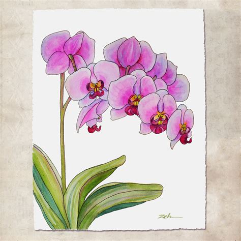 Janet Zeh Original Art Watercolor and Oil Paintings: Orchid Painting ...