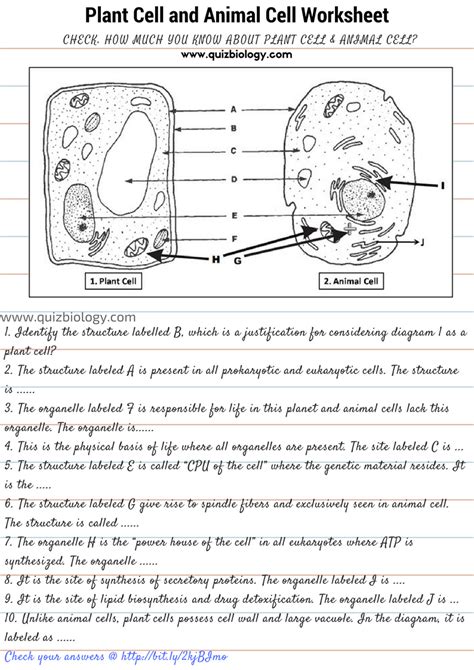 Labeling A Plant And Animal Cell Practice