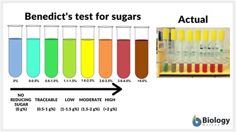 Sucrose Non Reducing Sugar