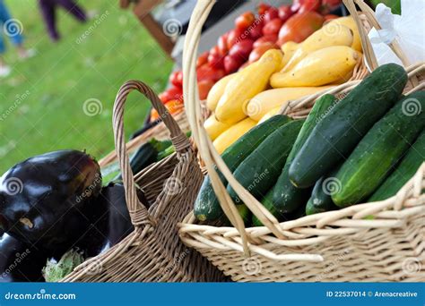 Fresh Organic Farmers Market Stock Photo - Image of crop, harvest: 22537014