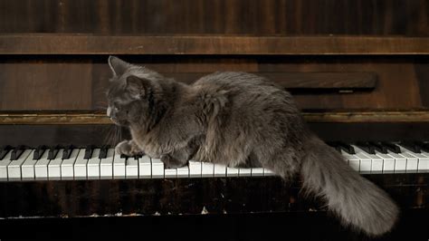 10 pieces of classical music for a perfect night’s relaxation - Classic FM