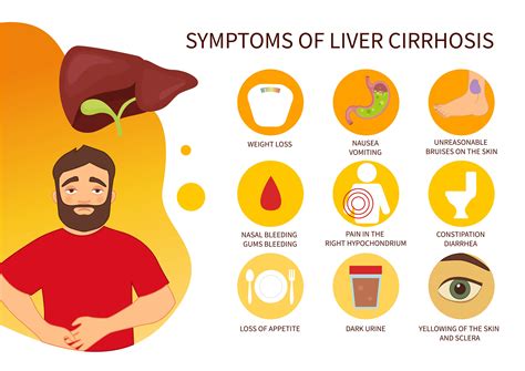 Stages Of Liver Disease