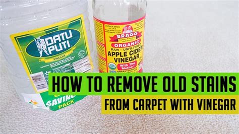 How To Get Stains Out Of Carpet Vinegar | Homeminimalisite.com