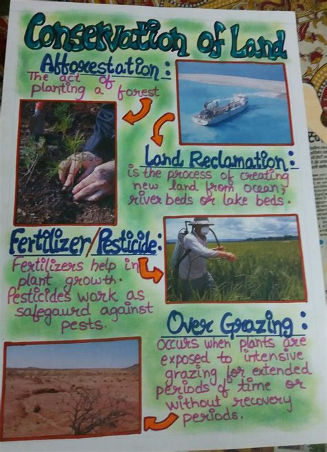 Conservation of land -school project | School projects, Conservation ...