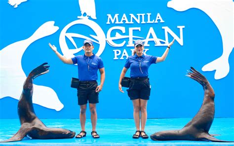 Oceanarium | Manila Ocean Park