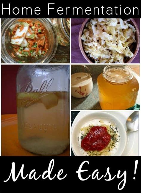 Easy Home Fermentation Recipes that will Change Your Life ...