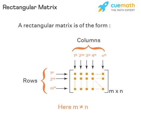 Rectangular Matrix - Definition, Examples, Properties, Operations