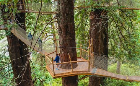 Celebrate Over 75 Years at Trees of Mystery in Klamath, California