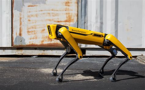 Bloke Takes US$75,000 Boston Dynamics Robotic Dog For A Walk