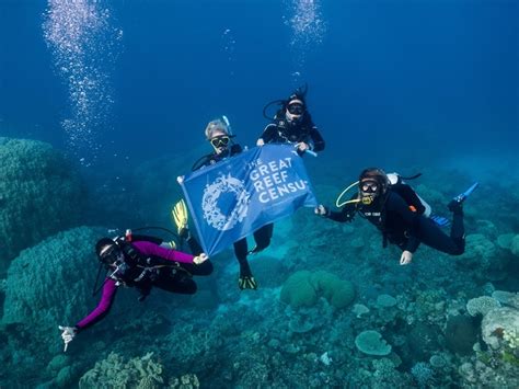 World’s Largest Dive Community Joins Forces to Protect the Great ...