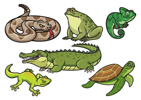 set of reptile cartoon illustration in set 21776246 Vector Art at Vecteezy