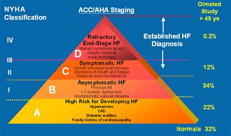 Integrated Care for Heart Failure in Primary Care | IntechOpen