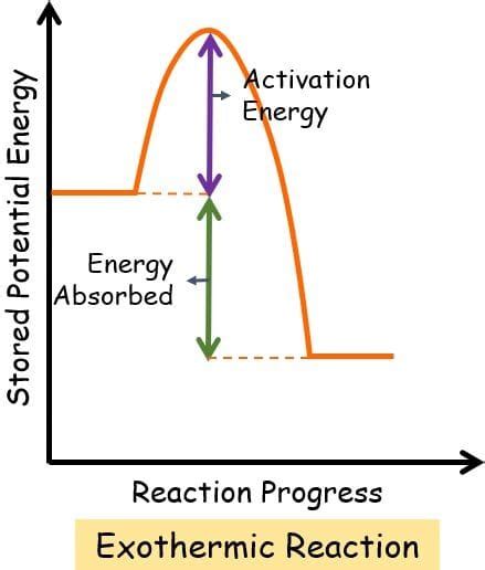 Exothermic Chart