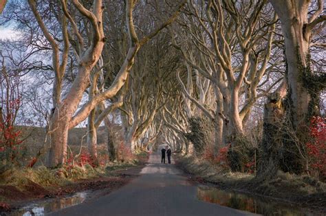 The Dark Hedges Game Of Thrones Filming Locations Ireland