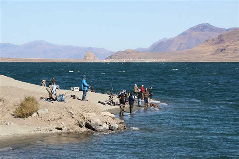 Permits | Pyramid Lake Nevada