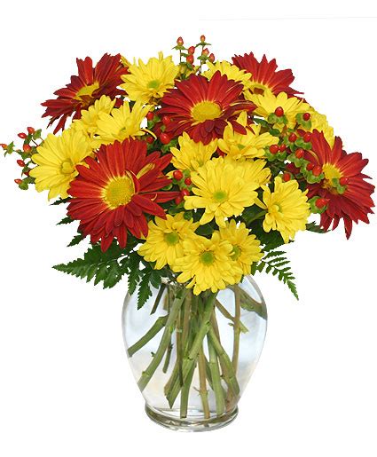 RED ROVER & YELLOW DAISY Bouquet of Flowers | Vase Arrangements ...