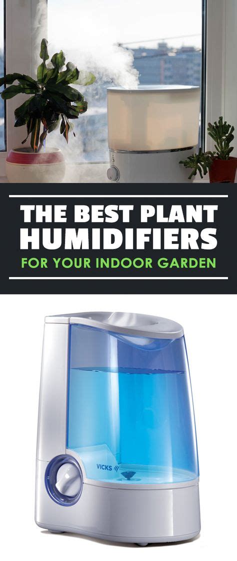 10 Best Plant Humidifiers ideas in 2021 | household plants, plants ...