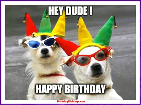 Funny Happy Birthday Memes With cats, Dogs & Funny Animals