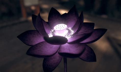 Dark Lotus Wallpaper