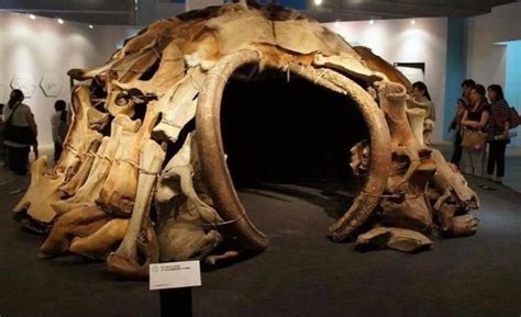 Constructed out of 149 mammoth bones, this prehistoric shelter was ...