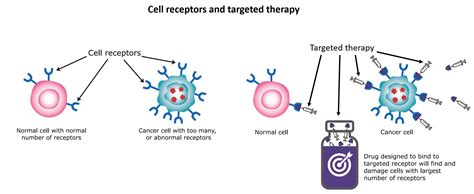 Targeted Therapy Overview