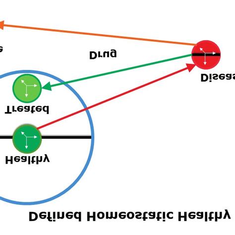 Schematic representation of therapeutic drug effect on individual ...