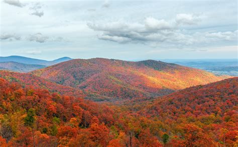 Skyline Drive Peak Foliage 2024 - Adore Melisent