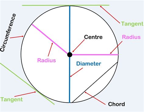 Area And Circumference Of A Circle Worksheet Pdf Circles — db-excel.com