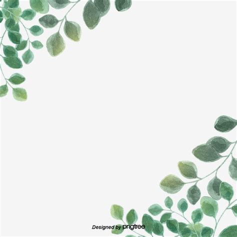 Eucalyptus Leaf Border PNG Transparent, Green Simple Eucalyptus Leaf ...