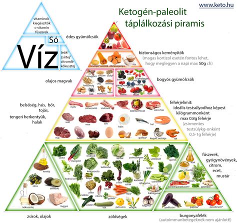 Paleo Food Pyramid, Paleo Food List, Nutrition Pyramid, Paleo Nutrition ...