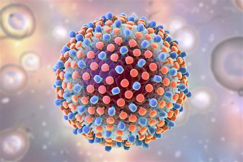 Hepatitis C Virus (HCV) – scheda virologica ed approfondimenti