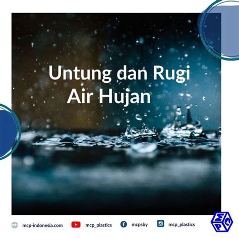 Air Hujan dengan Segala Untung dan Ruginya Bagi Tanaman - PT ...