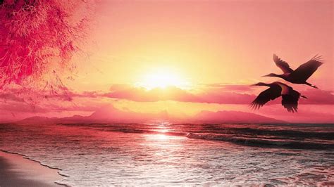 Beautiful Beach Sunset Wallpaper - WallpaperSafari