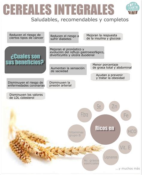 Los beneficios de los cereales integrales son muchos, aportan mucha ...