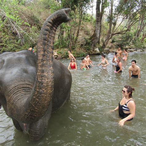 CHIANG MAI ELEPHANT JUNGLE SANCTUARY FULL DAY