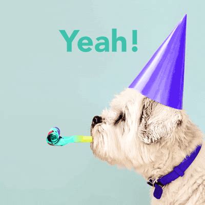 Happy Birthday Dog GIFs | GIFDB.com