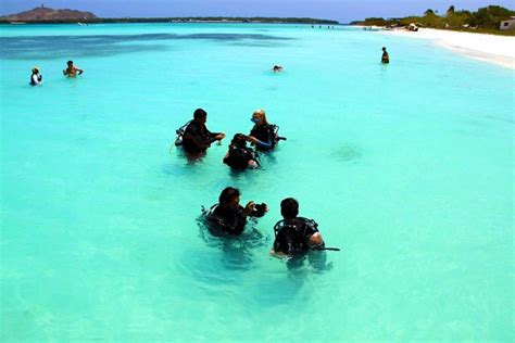 How to go Los Roques coral reef diving in Caracas